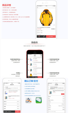 【电商网站建设】B2C购物商城平台定制开发设计ICP备案手机
